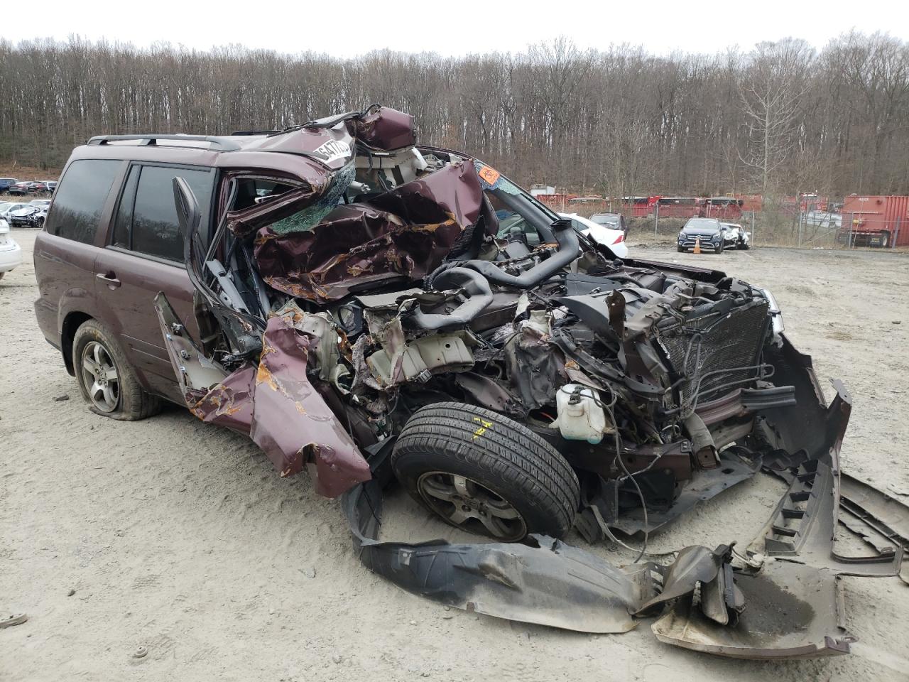 HONDA PILOT EXL 2007 with VIN 5FNYF18567B006257 - Photo from auction