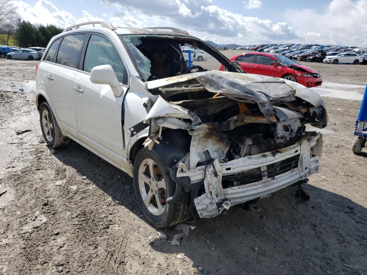 CHEVROLET CAPTIVA LT 2014 with VIN 3GNAL3EK6ES574312 - Photo from auction