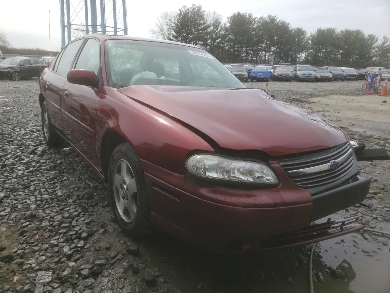 CHEVROLET MALIBU LS 2003 with VIN 1G1NE52J03M663004 - Photo from auction