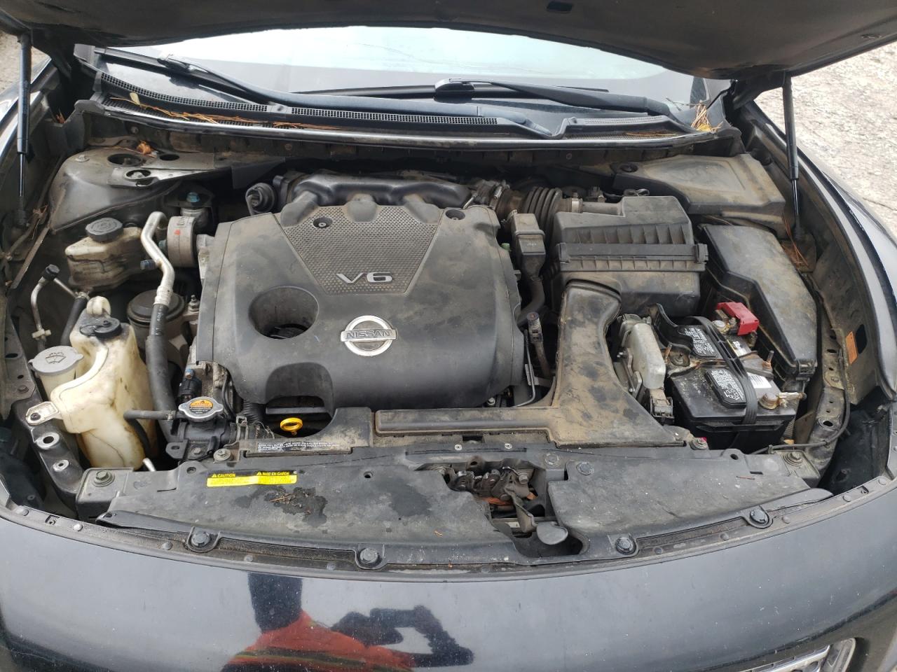 صورة رقم 7 من المزاد - 2009 NISSAN MAXIMA S مع VIN 1N4AA51E89C823012