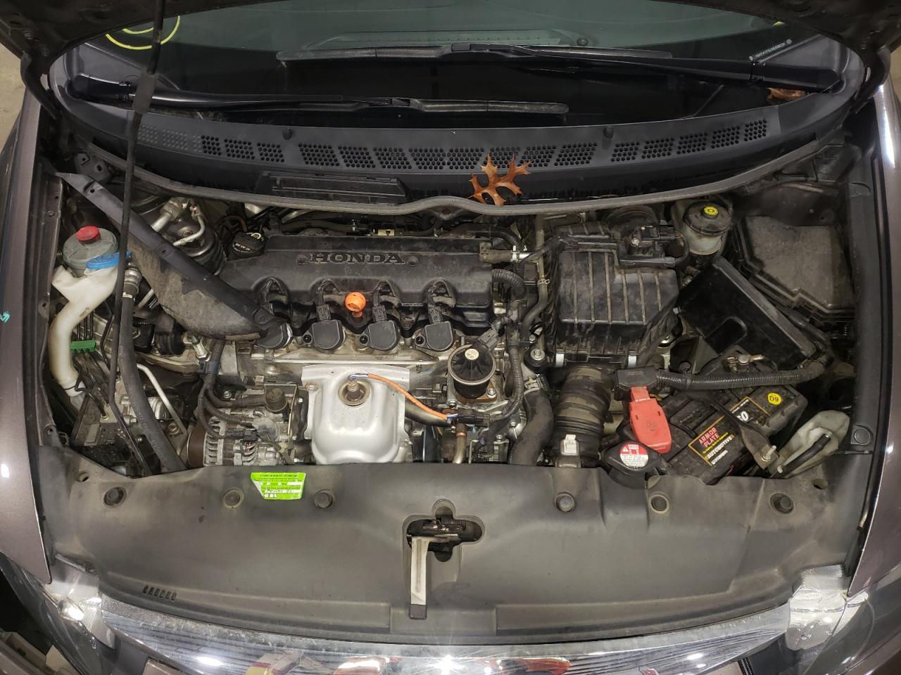 Photo 7 from auction – 2010 HONDA CIVIC LX with VIN 19XFA1F52AE038239