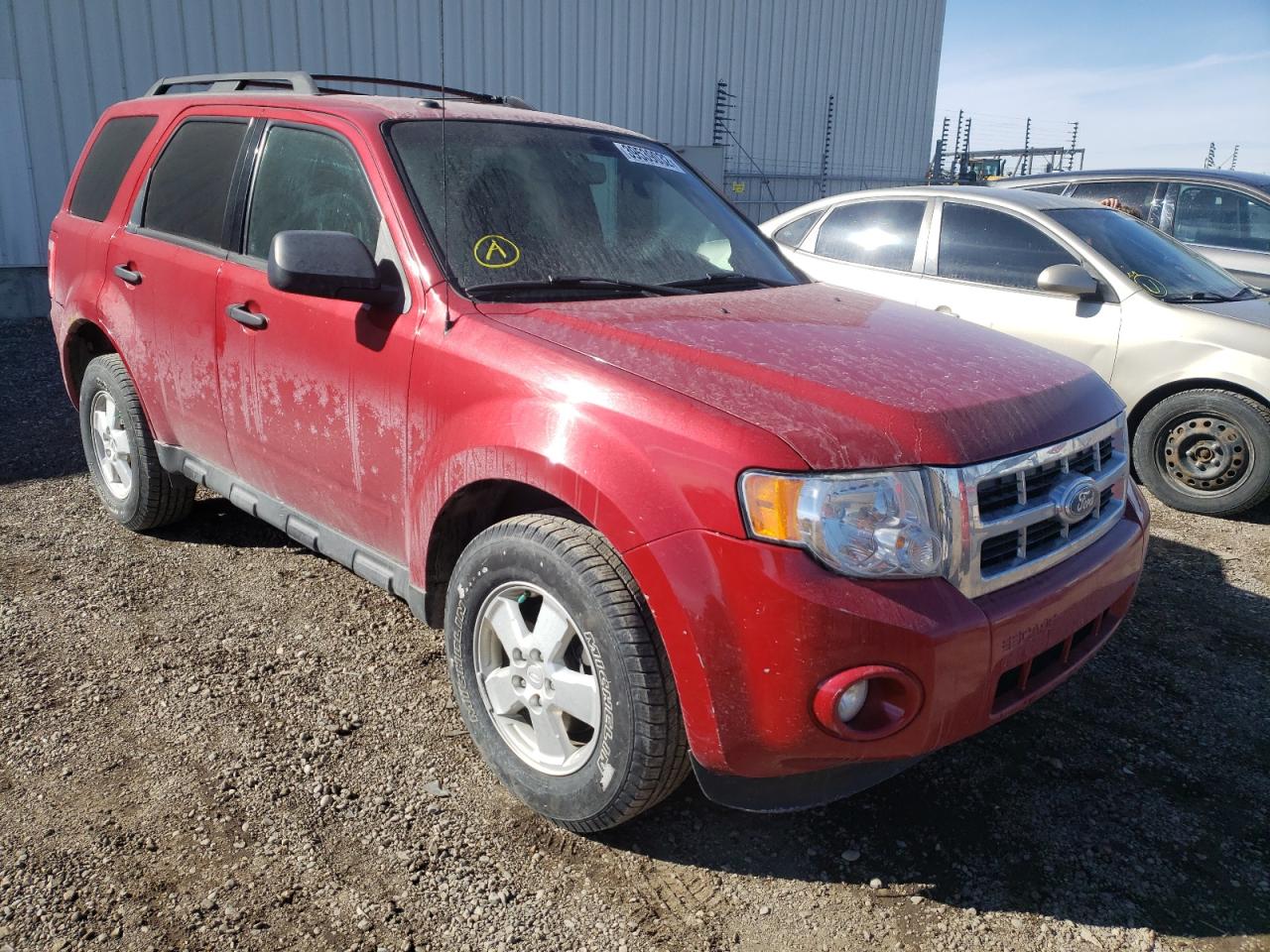 FORD ESCAPE XLT 2011 with VIN 1FMCU9D71BKC34213 - Photo from auction