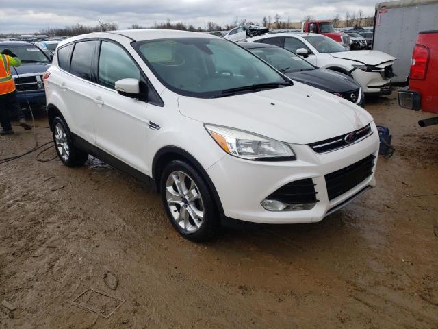 FORD ESCAPE SEL 2013 with VIN 1FMCU0HX0DUB46282 - Photo from auction