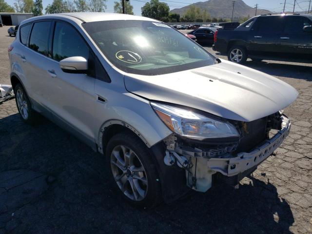 FORD ESCAPE SEL 2013 with VIN 1FMCU0H94DUC55863 - Photo from auction