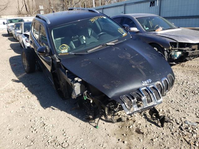 JEEP CHEROKEE L 2014 with VIN 1C4PJMDS8EW202572 - Photo from auction