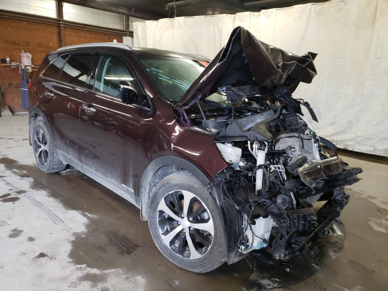 KIA SORENTO EX 2016 with VIN 5XYPHDA52GG075098 - Photo from auction