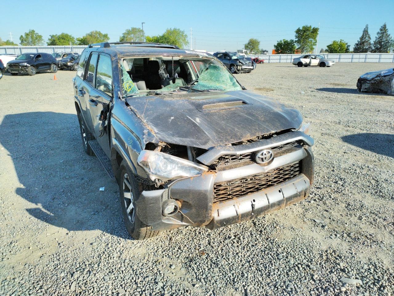 TOYOTA 4RUNNER SR 2019 with VIN JTEBU5JR0K5654098 - Photo from auction