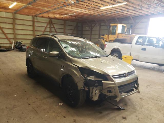 FORD ESCAPE SE 2013 with VIN 1FMCU0GX6DUC97290 - Photo from auction