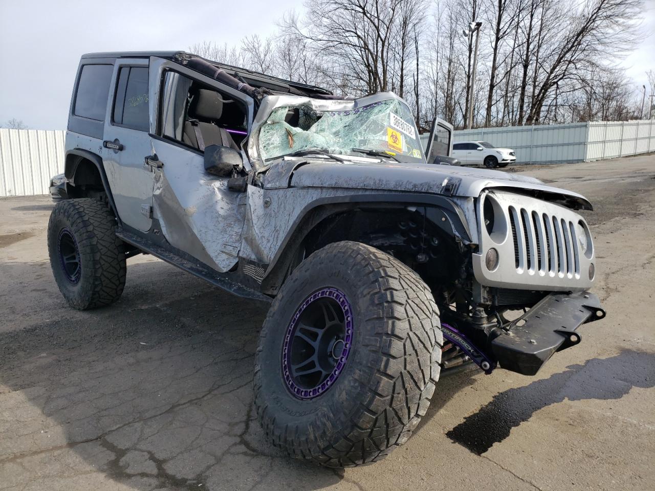 JEEP WRANGLER U 2015 with VIN 1C4BJWDG4FL503635 - Photo from auction