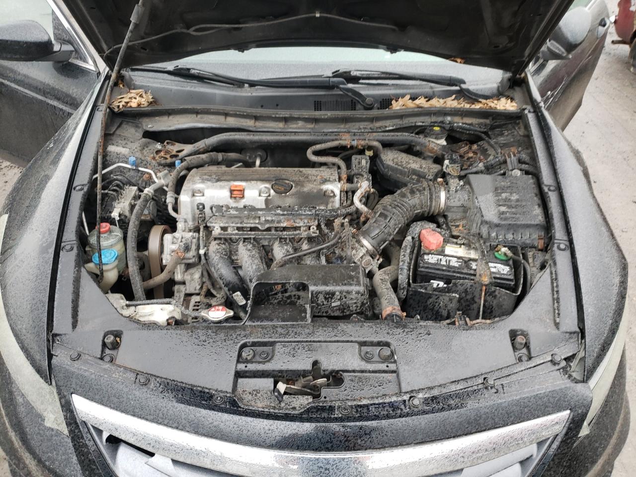 Photo 7 from auction – 2011 HONDA ACCORD with VIN 1HGCS1B34BA016723
