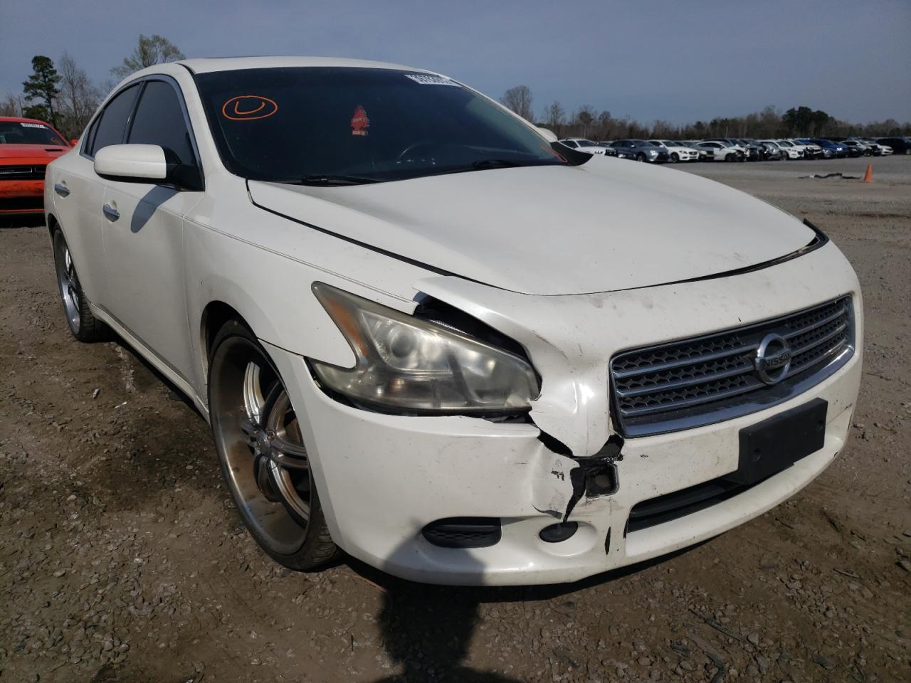 NISSAN MAXIMA S 2009 with VIN 1N4AA51E49C820009 - Photo from auction