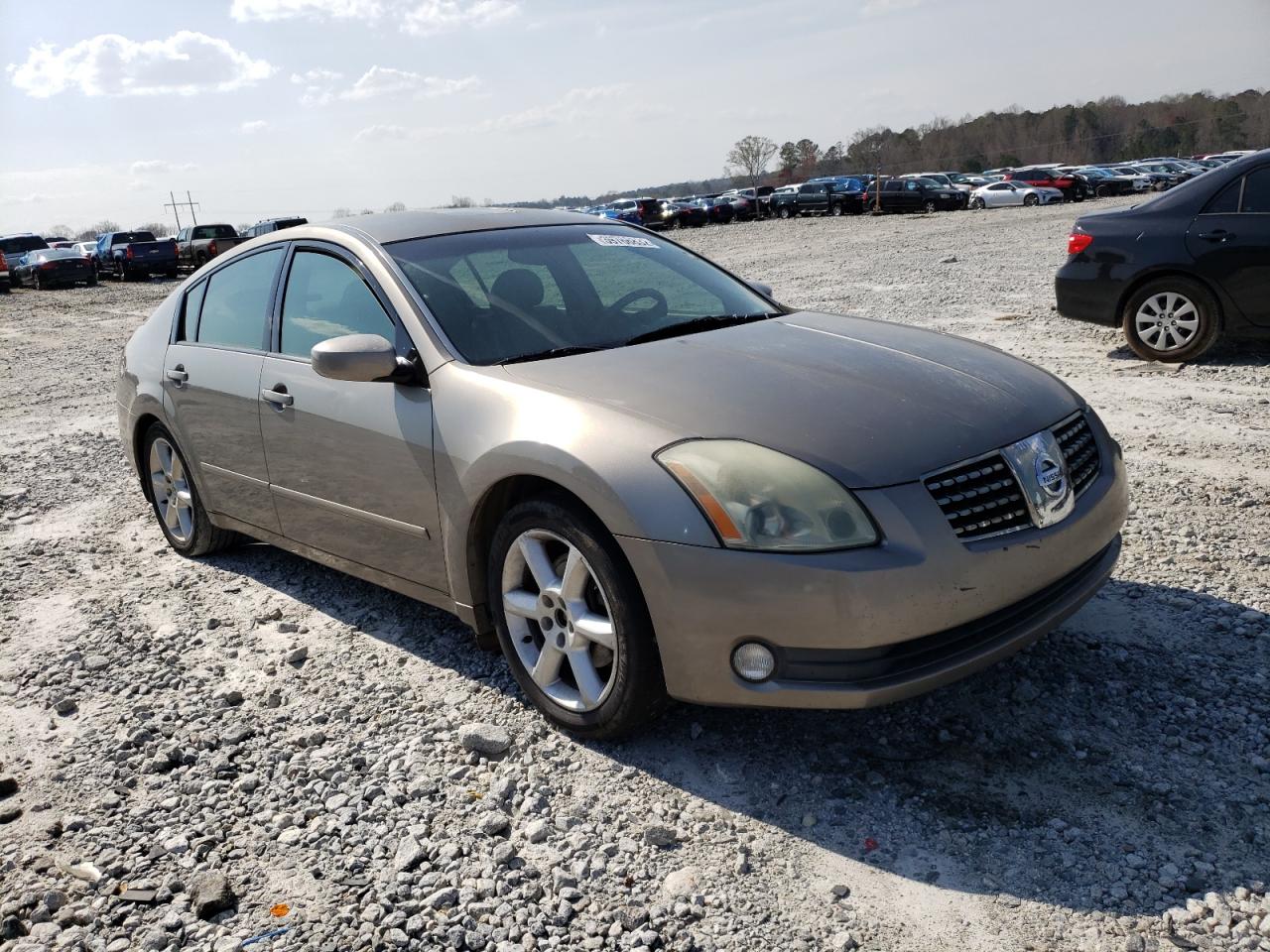 NISSAN MAXIMA SE 2004 with VIN 1N4BA41E74C830833 - Photo from auction
