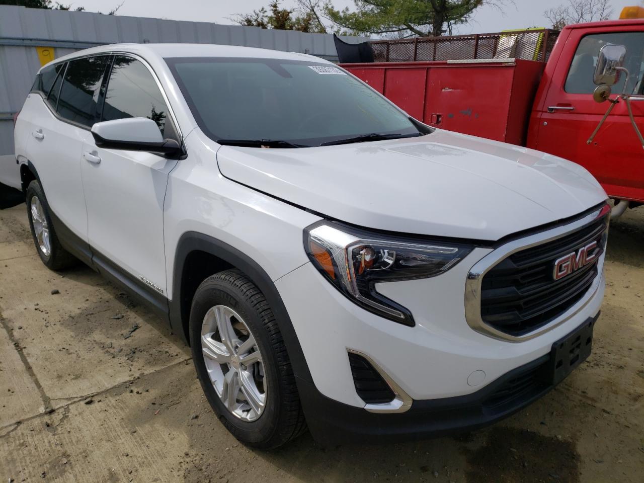 GMC TERRAIN SL 2019 with VIN 3GKALMEV3KL113765 - Photo from auction