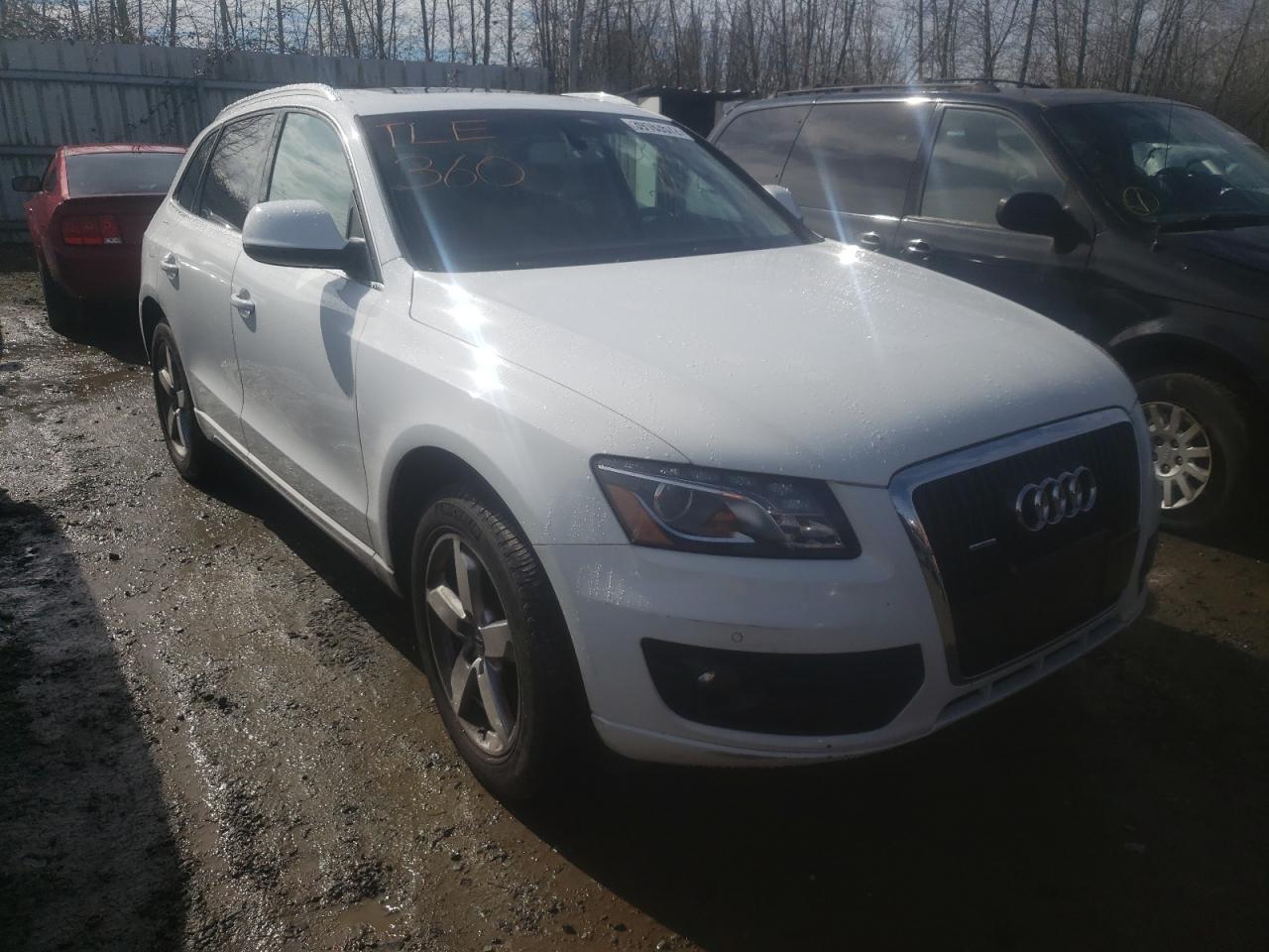 AUDI Q5 3.2 2009 with VIN WA1KK78R79A024537 - Photo from auction
