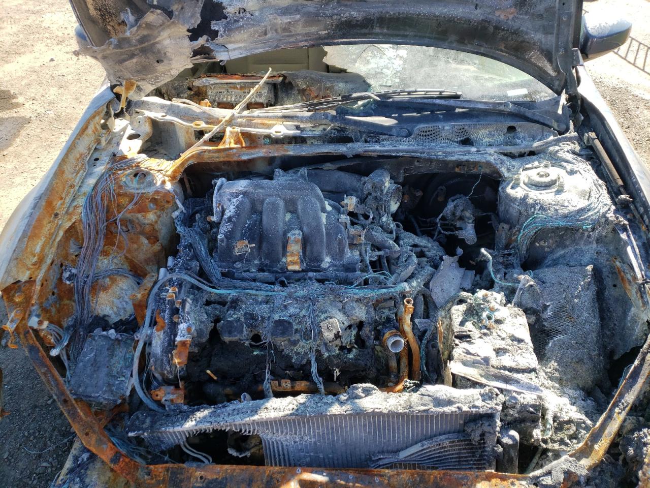 Photo 7 from auction – 2006 NISSAN MAXIMA SE with VIN 1N4BA41E26C810072