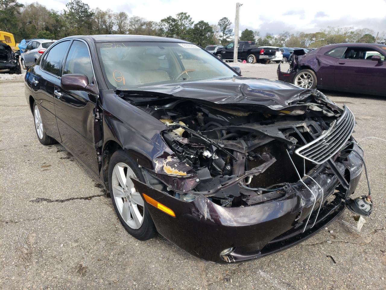 LEXUS ES 330 2005 with VIN JTHBA30G255073545 - Photo from auction
