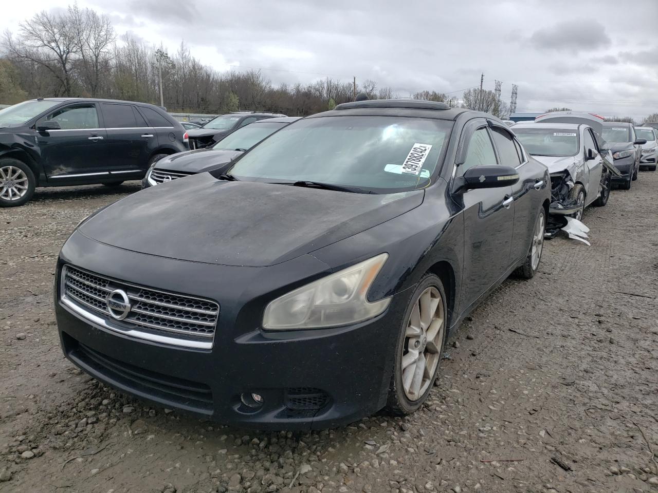Photo 2 from auction – 2009 NISSAN MAXIMA S with VIN 1N4AA51E89C823012
