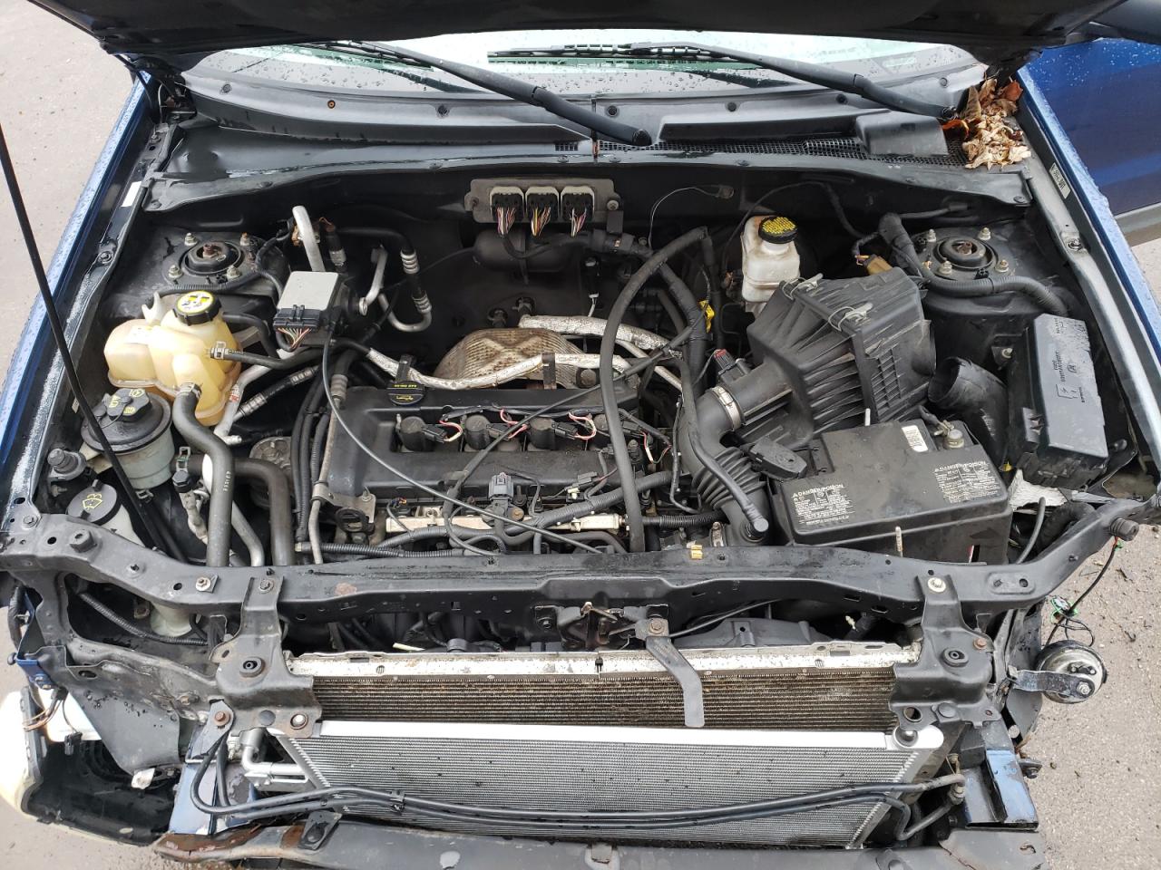 Photo 7 from auction – 2007 FORD ESCAPE XLS with VIN 1FMYU92Z07KB43869