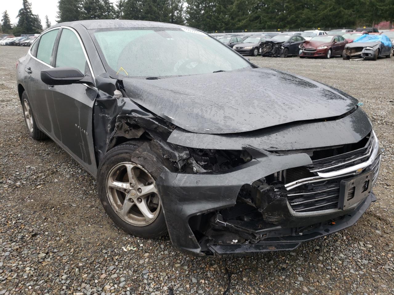CHEVROLET MALIBU LS 2017 with VIN 1G1ZB5ST7HF247281 - Photo from auction