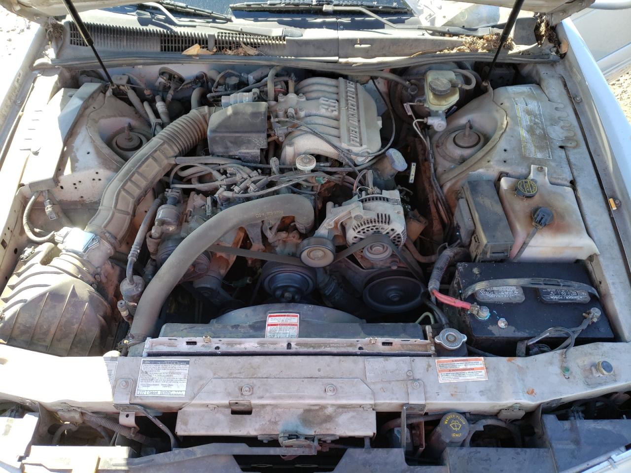Zdjęcie 7 z aukcji – 1997 FORD THUNDERBIR z VIN 1FALP6247VH122901