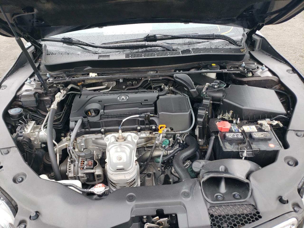 Photo 7 from auction – 2015 ACURA TLX TECH with VIN 19UUB1F55FA020382