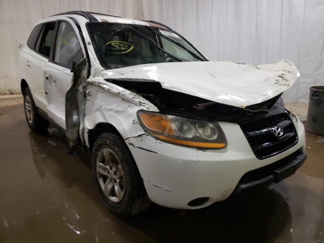 HYUNDAI SANTA FE G 2009 with VIN 5NMSG73D59H247667 - Photo from auction