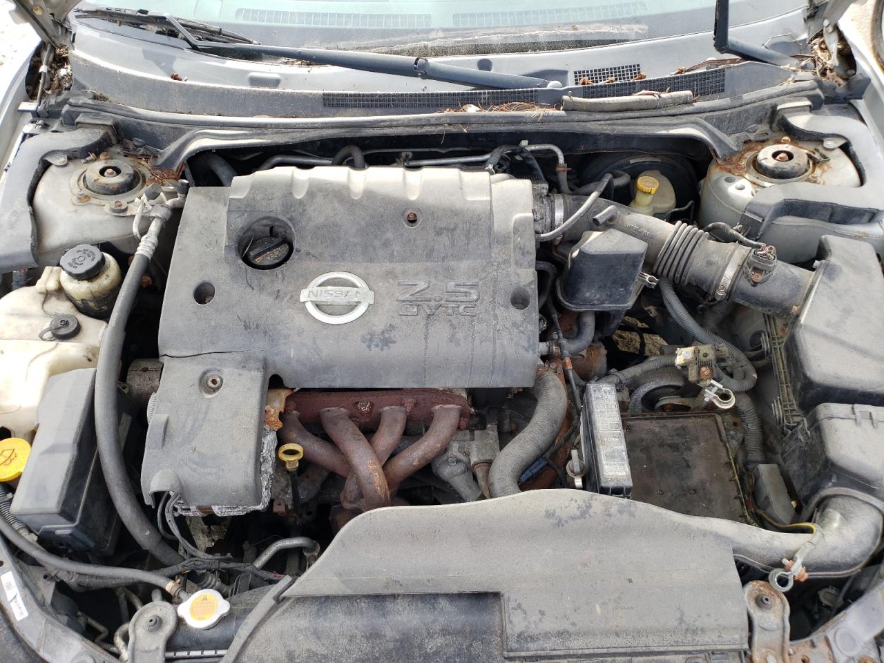 Photo 7 from auction – 2002 NISSAN ALTIMA BAS with VIN 1N4AL11D92C221798