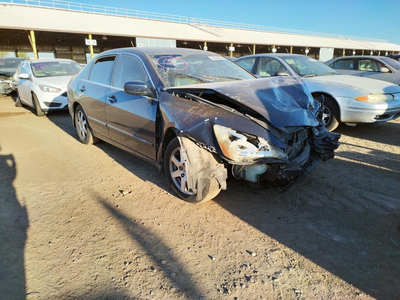 HONDA ACCORD EX 2005 with VIN 1HGCM66545A043783 - Photo from auction