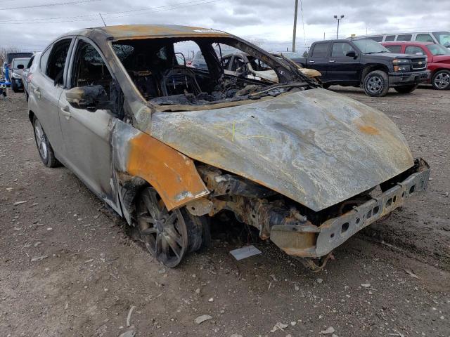 FORD FOCUS SE 2016 with VIN 1FADP3K21GL217178 - Photo from auction