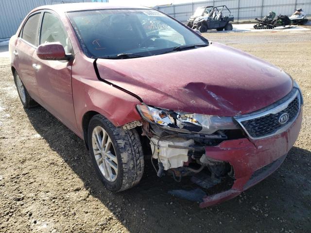 KIA FORTE EX 2011 with VIN KNAFU4A28B5320188 - Photo from auction