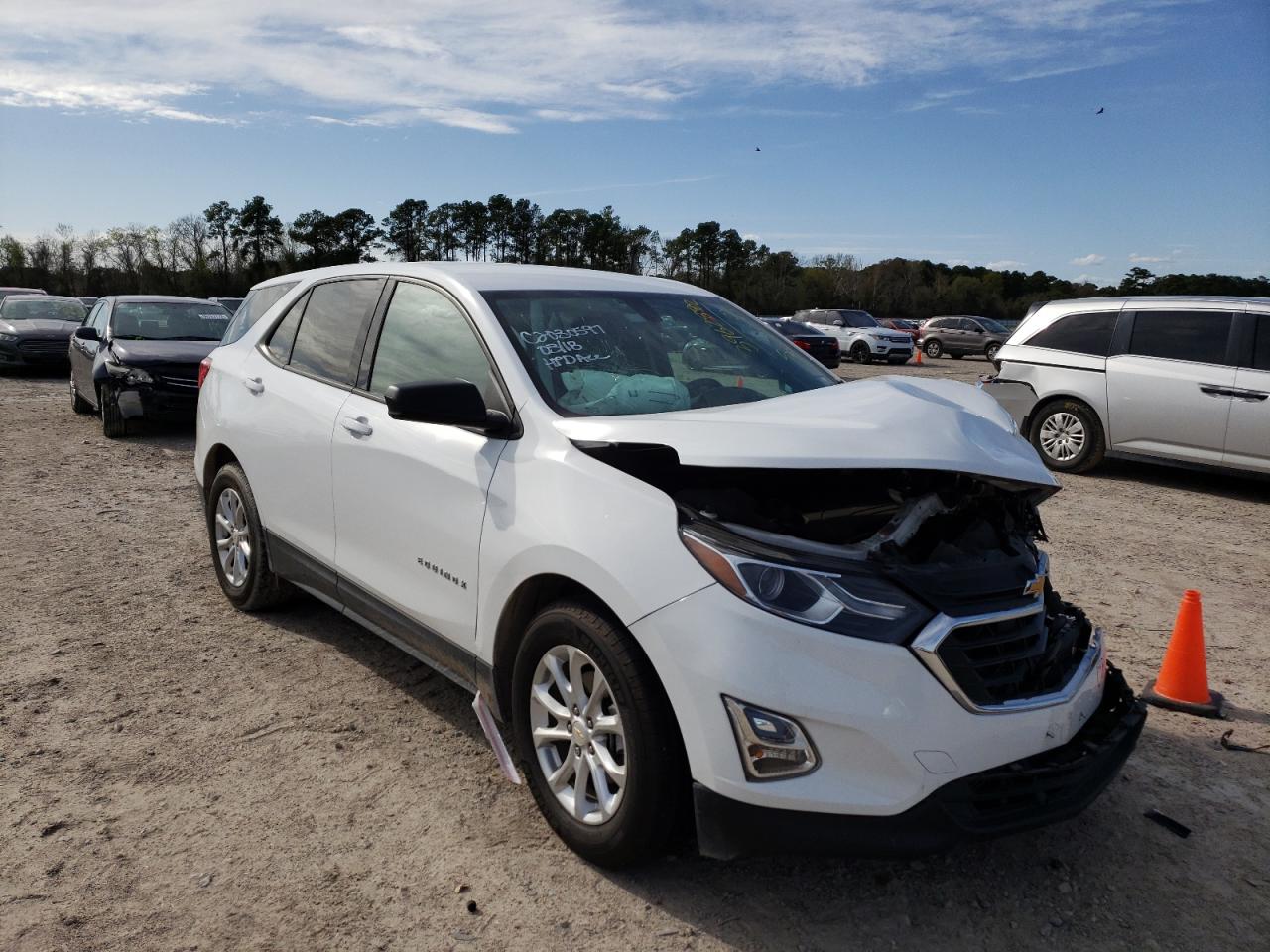 CHEVROLET EQUINOX LS 2019 with VIN 2GNAXHEV4K6135079 - Photo from auction