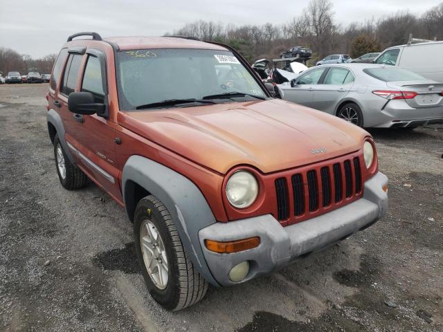 Photo 1 from auction – 2002 JEEP LIBERTY SP with VIN 1J4GL48KX2W176843