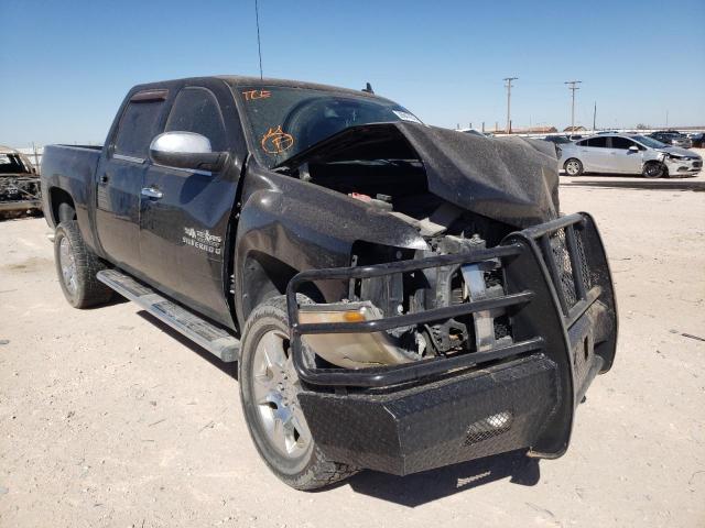 CHEVROLET SILVERADO 2009 with VIN 3GCEC23J09G285627 - Photo from auction