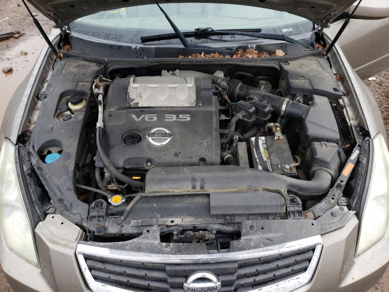 Photo 7 from auction – 2007 NISSAN MAXIMA SE with VIN 1N4BA41E37C827612