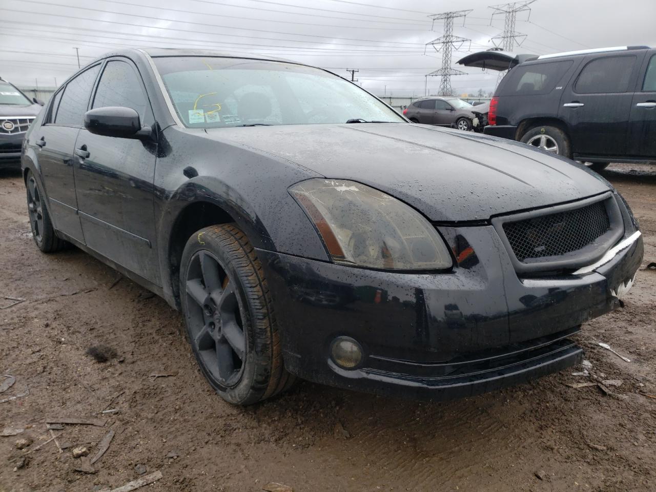 NISSAN MAXIMA SE 2005 with VIN 1N4BA41EX5C838832 - Photo from auction