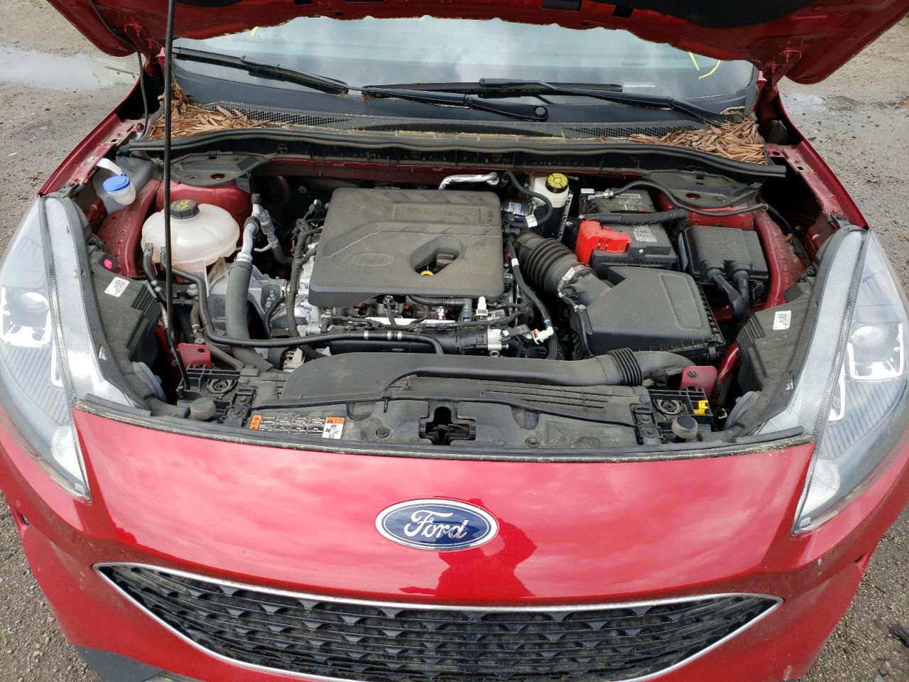 Photo 7 from auction – 2020 FORD ESCAPE SEL with VIN 1FMCU0H6XLUA22073