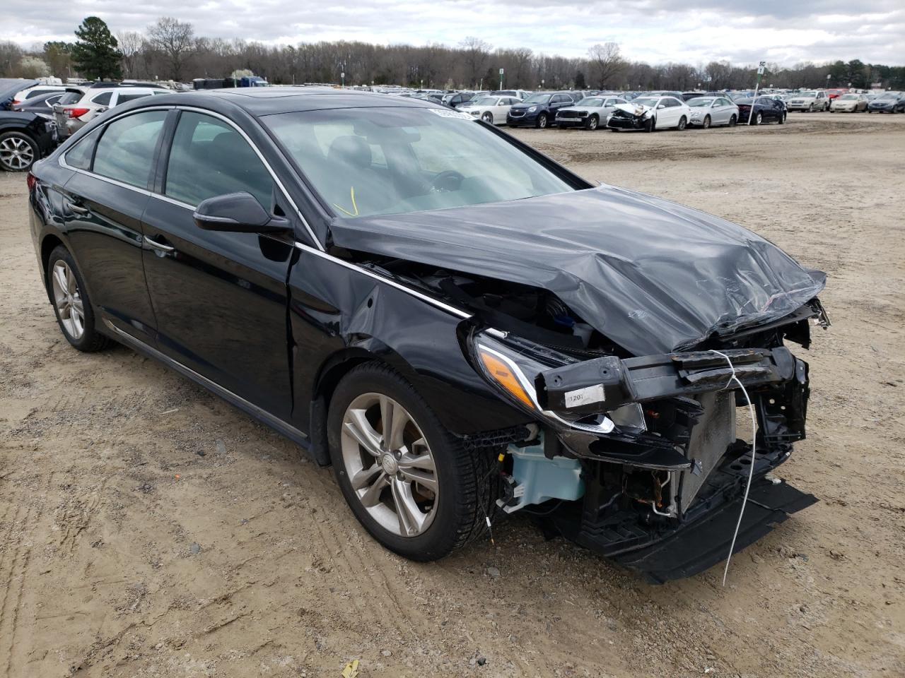 HYUNDAI SONATA LIM 2019 with VIN 5NPE34AF5KH770644 - Photo from auction