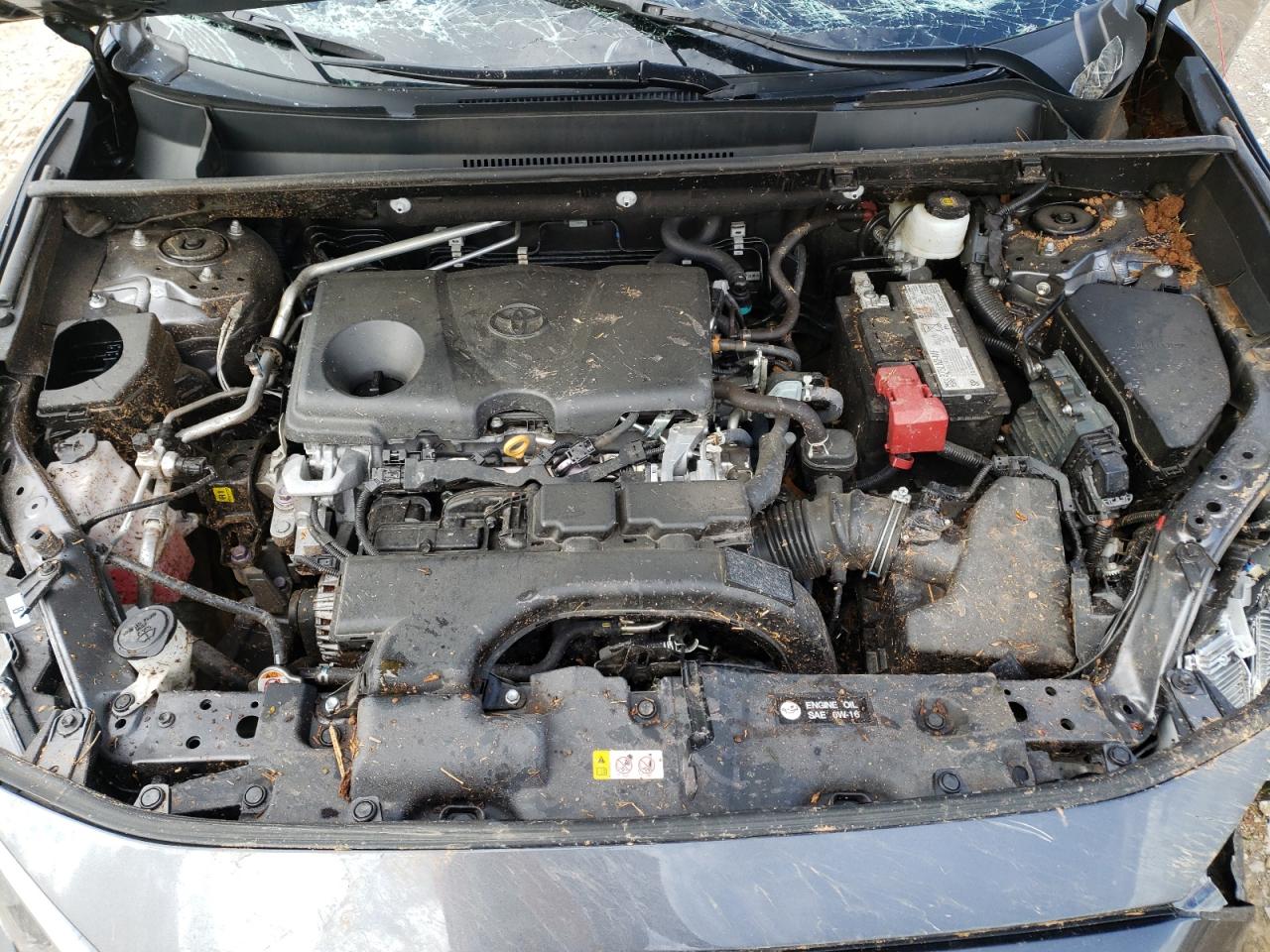Photo 7 from auction – 2021 TOYOTA RAV4 LE with VIN 2T3H1RFV7MC134904