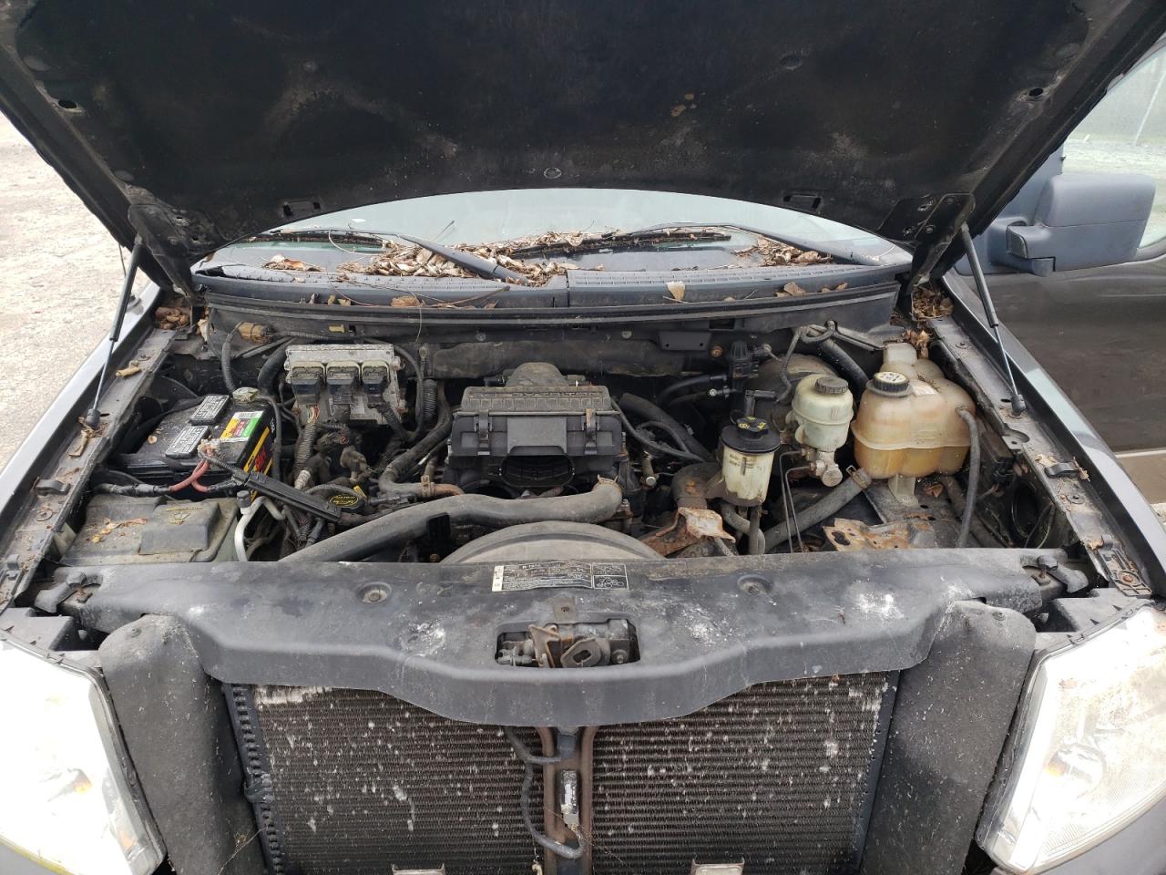 Photo 7 from auction – 2005 FORD F150 with VIN 1FTPX12575NA58433