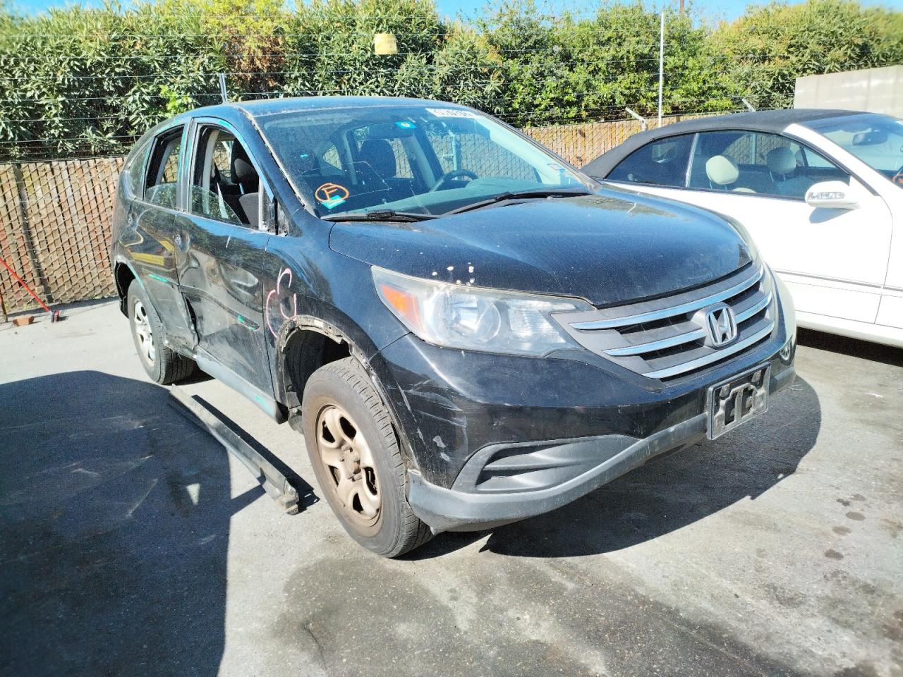 HONDA CRV 2013 with VIN 2HKRM4H36DH648629 - Photo from auction