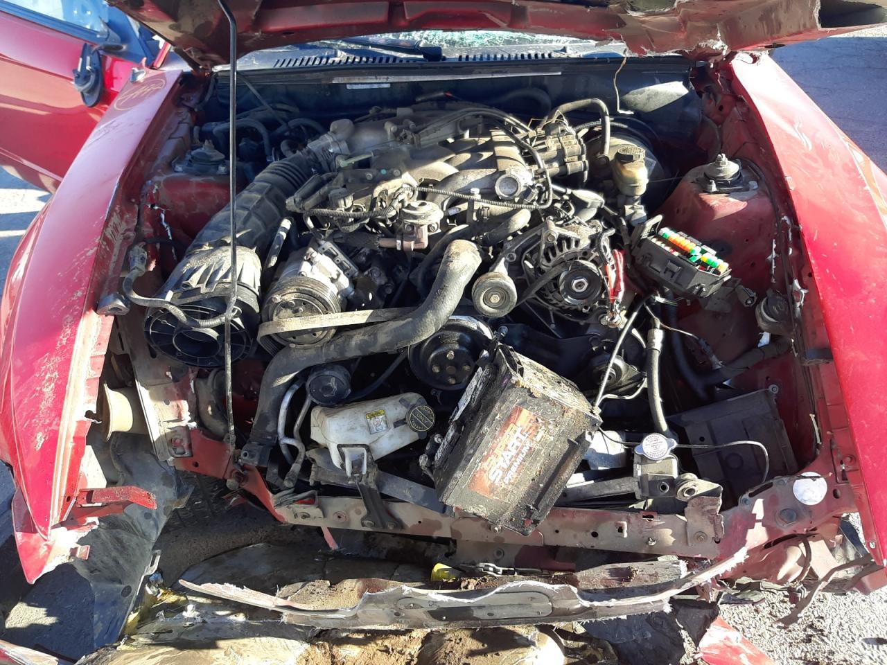 Photo 7 from auction – 2004 FORD MUSTANG with VIN 1FAFP40494F117245