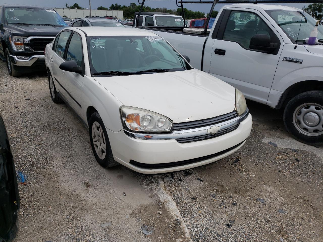 CHEVROLET MALIBU 2004 with VIN 1G1ZS52854F143152 - Photo from auction