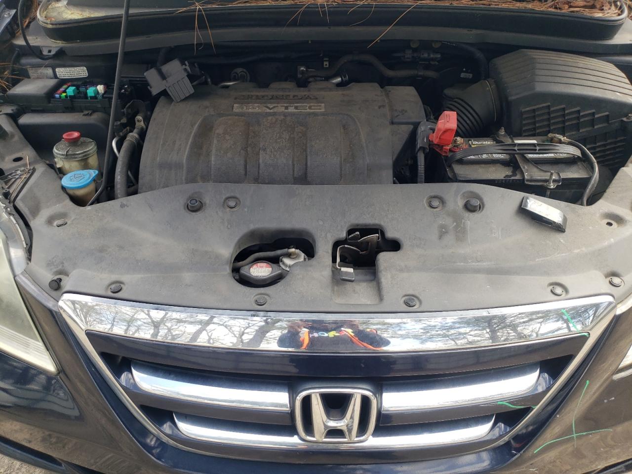 Photo 7 from auction – 2005 HONDA ODYSSEY EX with VIN 5FNRL38425B008049