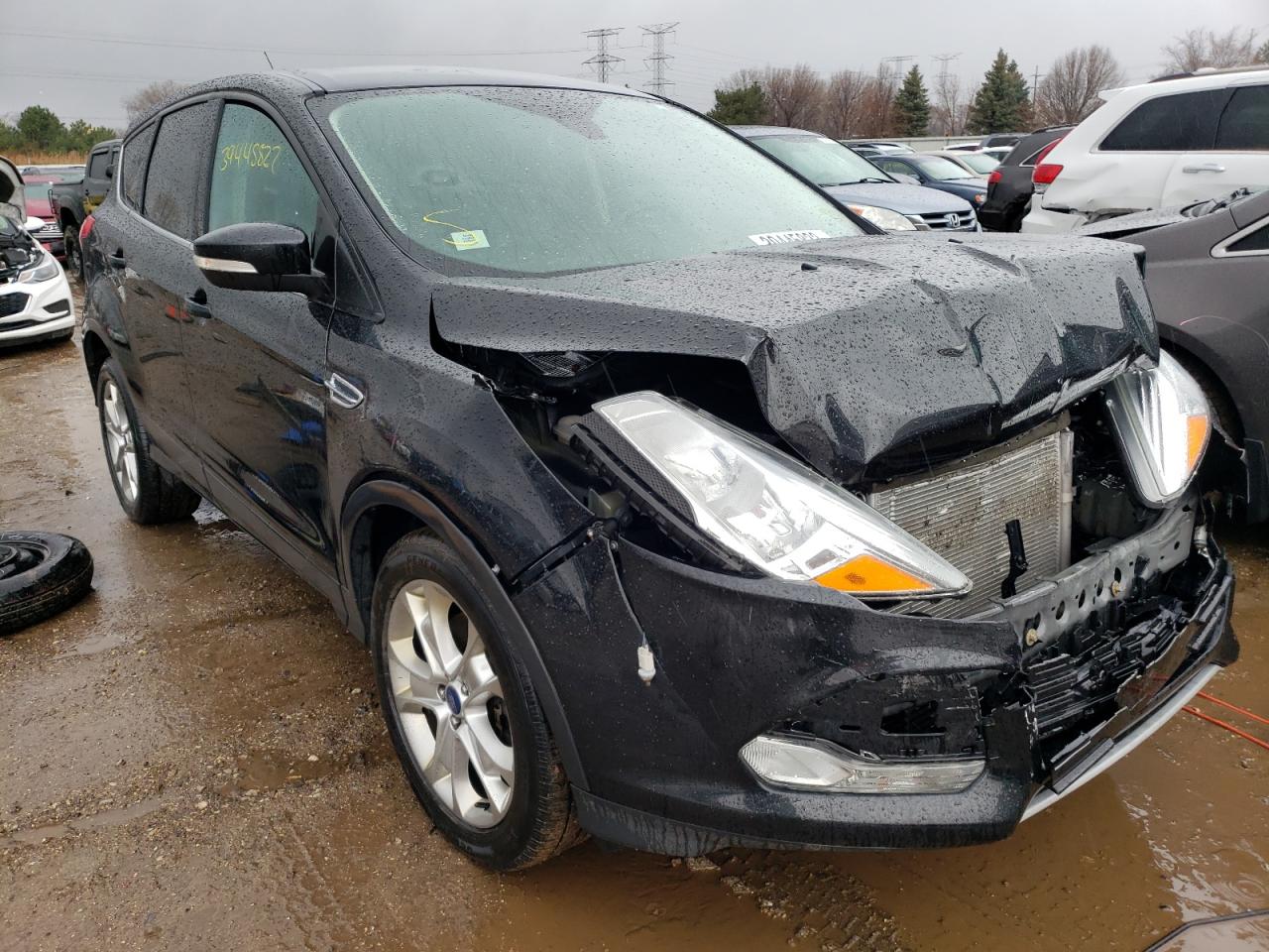 FORD ESCAPE SEL 2013 with VIN 1FMCU9HXXDUD78277 - Photo from auction