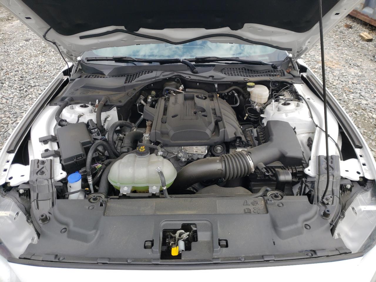 Photo 7 from auction – 2020 FORD MUSTANG with VIN 1FA6P8TH9L5161644