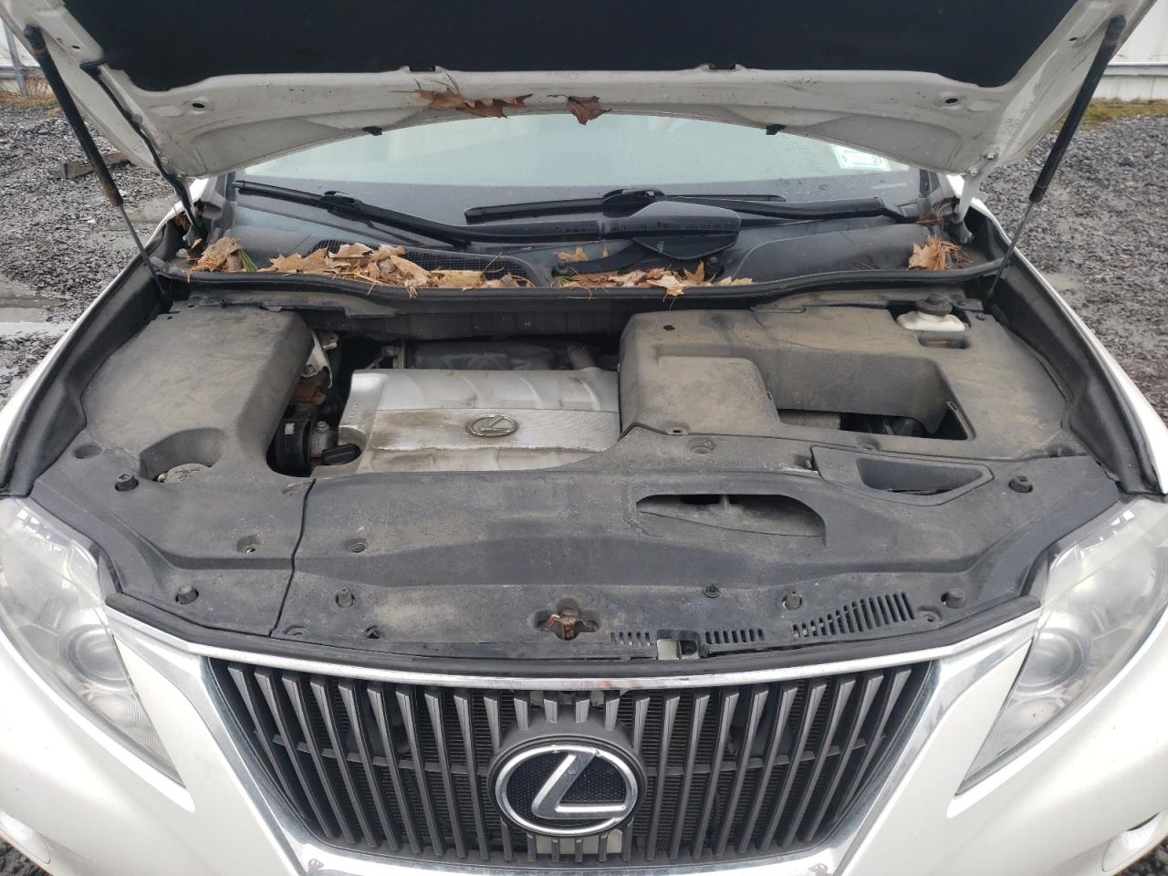 Photo 7 from auction – 2010 LEXUS RX 350 with VIN 2T2BK1BA5AC071339