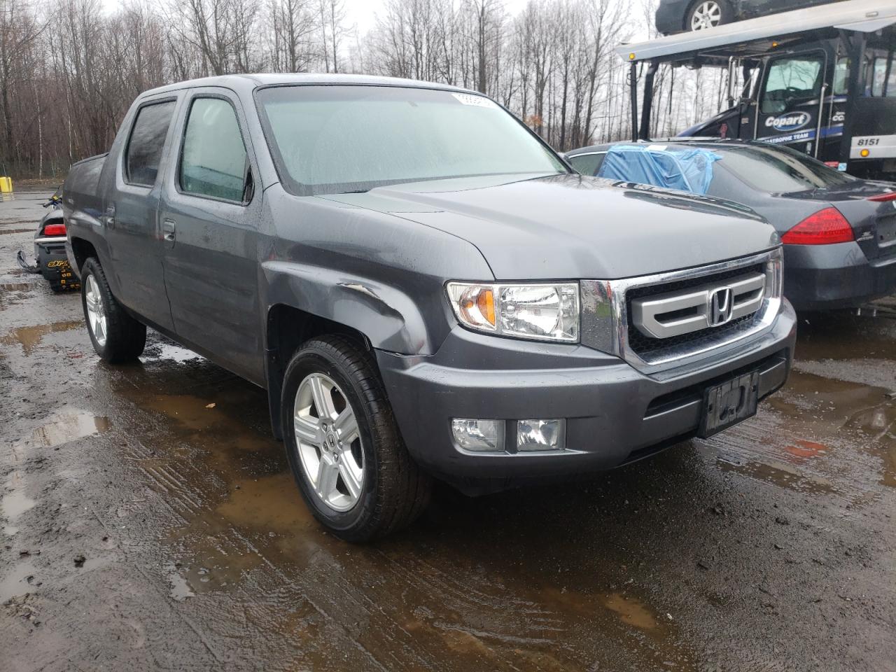 HONDA RIDGELINE 2011 with VIN 5FPYK1F50BB454993 - Photo from auction