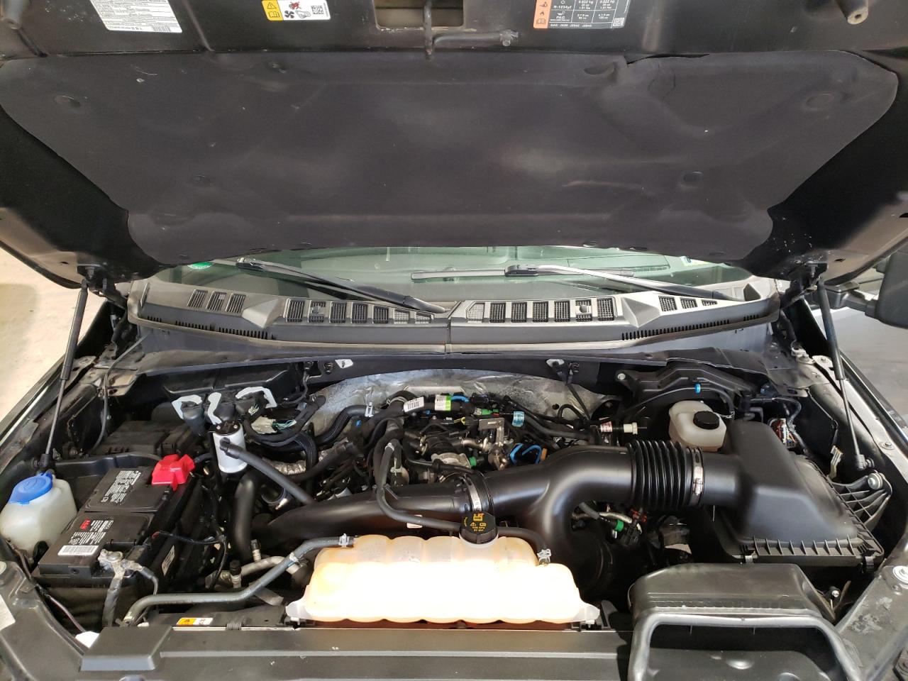 Photo 7 from auction – 2019 FORD F150 SUPER with VIN 1FTEW1EP4KFA32563