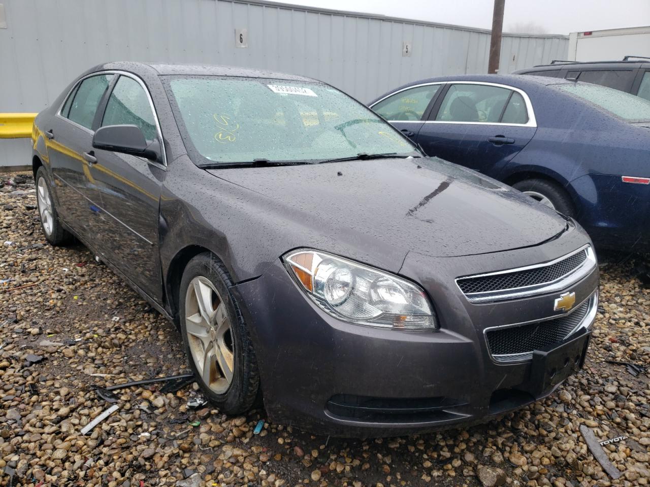 CHEVROLET MALIBU LS 2010 with VIN 1G1ZB5EB0AF301271 - Photo from auction