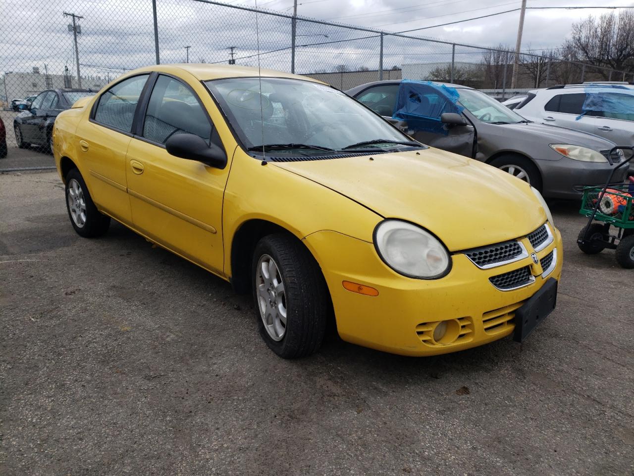 DODGE NEON SXT 2004 with VIN 1B3ES56C64D602304 - Photo from auction
